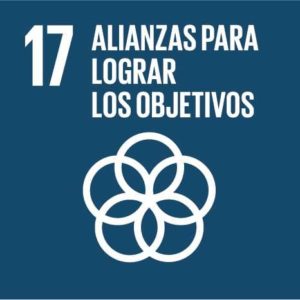 ODS Alianzas para lograr los objetivos